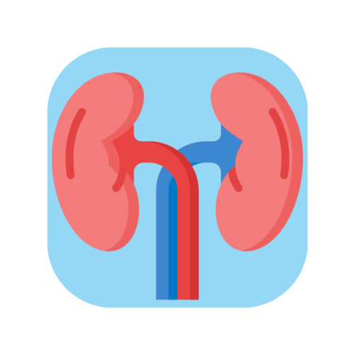Estimation of Kidney Function￼